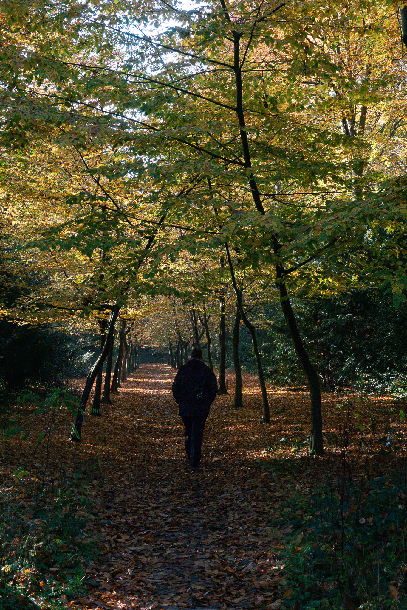 20251108   Huys te Warmond met Brigitte   011